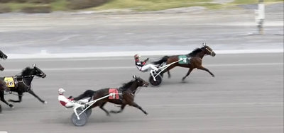 Ikon Vang var sikkerheden selv på Saratoga Harness Raceway.