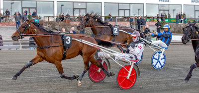 Kleopatra S F vinder på Lunden. Tirsdag aften starter den Michael Lønborg-trænede hest på Jägersro.