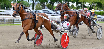 In My Way Damgård ved en sejr i Odense med Michael Lønborg i sulkyen.