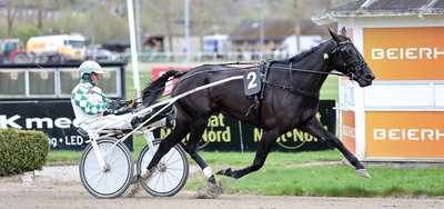 Nova ved en tidligere sejr med Flemming Jensen i sulkyen.