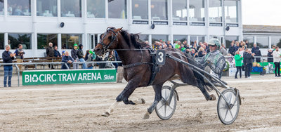 Kungfufighting ved en sejr i Skive i 2024 med Jan Dahlgaard.