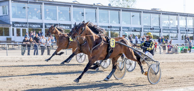 Lyon ved en tidligere sejr i Skive med Birger Jørgensen i sulkyen.