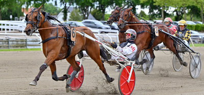 In My Way Damgård ved en sejr i Odense med Michael Lønborg i sulkyen.