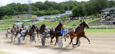 Karla Vang ved sin seneste start, nemlig Jydsk 3-årings Hoppe Grand Prix 11. august 2024.