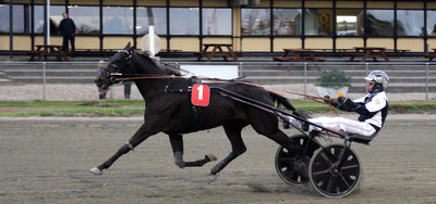 Tipsanalyser Bet25 - Torsdag 21. august Nykøbing Falster