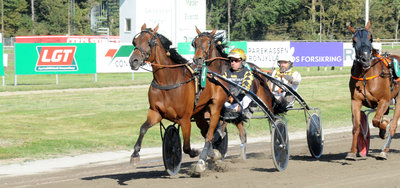 Birger Jørgensen vandt med Kopper Dust i fredags i Aarhus, og det var samtidig kuskesejr nummer 100 i denne sæson.