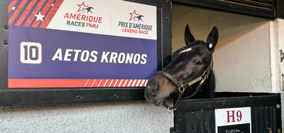 Aetos Kronos er blandt favoritterne i The International Trot.