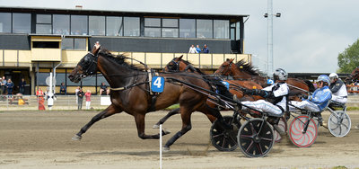 Highway Flamingo ved en af sine sejre på Falster i år.