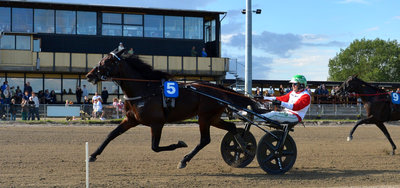 Pure Caviar ved en tidligere sejr på Nykøbing Falster Travbane. Lørdag aften er den favorit i Odense i Sigter Mod Stjernerne-finalen.