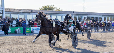 Kungfufighting vandt en stensikker sejr i Grand Circle på hjemmebanen.