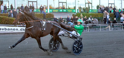 Magnus Ladegaard-trænede King Legend ved seneste sejr på Lunden.