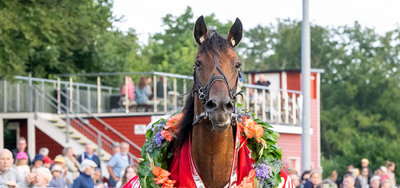 Beluga Onion efter sejren i Calles Cup 2024.