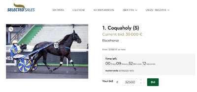 Løbshesten Coquaholy er i øjeblikket budt op i 30.000 euro.