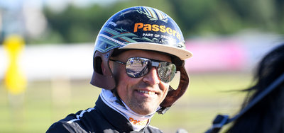 SVERIGE - Når katten Mats er ude danser musen Carl Johan på bordet