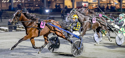 Dansk Opdrætningsløb - Menza i ny dansk rekord
