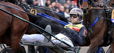 VM for Travkuske i New Zealand - Canadiske James MacDonald ligner ny verdensmester