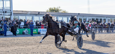 STARTLISTER - Aarhus lørdag, Odense søndag & Aalborg mandag