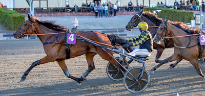 Tipsanalyser Bet25 - alle løb - Lunden fredag 21. november