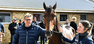 Læserbrev vedr. Lunden fra Keld Gregersen, Stutteri Disney