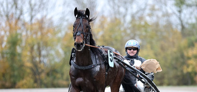 STARTLISTER - Aarhus lørdag, Aalborg søndag & Skive mandag