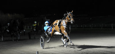 Tipsanalyser Bet25 - alle løb - Aarhus lørdag 6. december