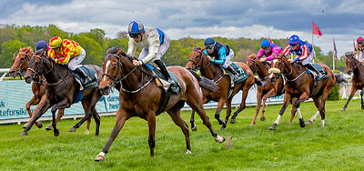 DH informerer - Galopsportens administration samles i Dansk Hestevæddeløb