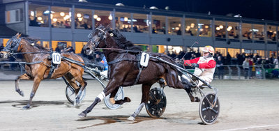 Tipsanalyser Bet25 - alle løb - Lunden fredag 12. december