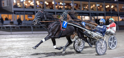 Tipsanalyser Bet25 - alle løb - Odense lørdag 20. december