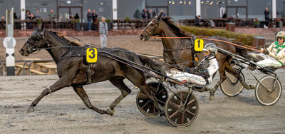 Tipsanalyser Bet25 - alle løb - Lunden søndag 21. december