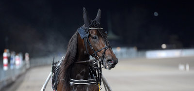 FRANKRIG - Svensk sejr i Prix Ténor de Baune