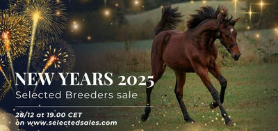 AUKTION - Selected Sales klar med NEW YEARS 2025 Selected Breeders Sale