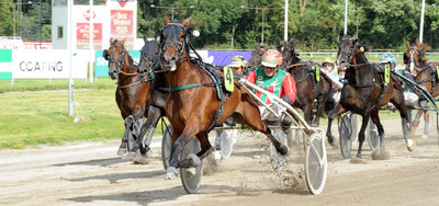 Landschampionatet afgøres mellem Juel og Juul - kun 8.600 kr. skiller de to trænere