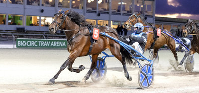 AUKTION - Husk at tilmelde heste til Nytårsauktionen på Travauktioner.dk