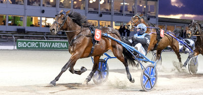 AUKTION - Nytårsauktionen på Travauktioner.dk er inde på opløbet