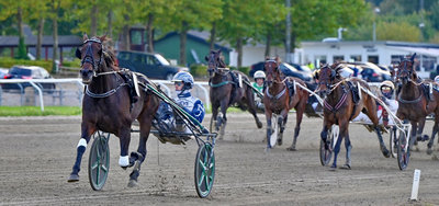 Karrieren er slut - den dobbelte danmarksmester Gabi Kyvsgård bliver følhoppe