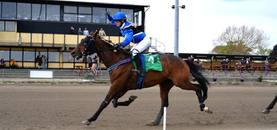 STARTLISTER - Skive med otte løb fredag eftermiddag