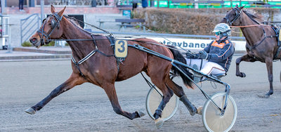 Den tidligere Grand Prix-treer og Grand Circle-toer Indeed er tilbage i travløbene efter mere end et års løbspause.