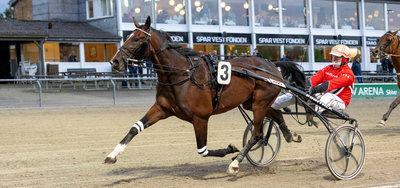 AUKTION - He Dares The Devil solgt for 170.000 s.kr. på Travera-auktionen