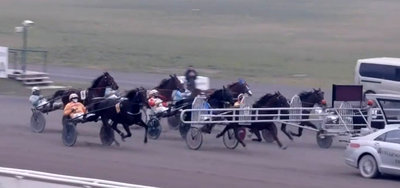 ITALIEN - Startgalop for Stald Masiols stjerne Seven Nation Army