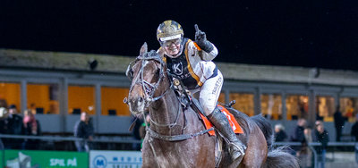 Tipsanalyser Bet25 & baneprogrammet - ALLE LØB - Aalborg fredag 23. januar