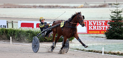 Tipsanalyser Bet25 & baneprogrammet - ALLE LØB - Skive mandag