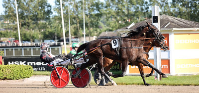 Black Mountain har klar vinderchance på fredag i Odense.
