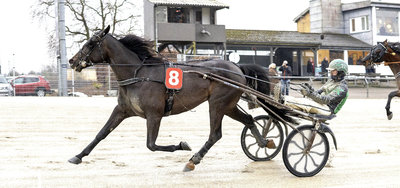 STATISTIK JANUAR - Jan Friis lidt overraskende i front af trænerligaen
