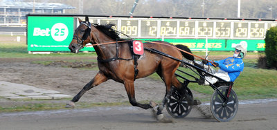 STARTLISTER - Aarhus fredag - Donovan Face jagter stakit