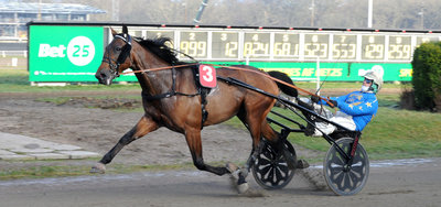 Tipsanalyser Bet25 & baneprogrammet - ALLE LØB - Aarhus fredag 13. februar