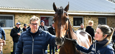 AVLSHINGST - Keld Gregersen klar med nyt kampagnetilbud på Dumbo