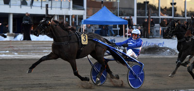 V85 Bergsåker lørdag 21. februar - High On Pepper igen det store trækplaster