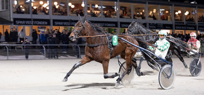 Tipsanalyser Bet25 & baneprogrammet - ALLE LØB - Skive fredag 20. februar