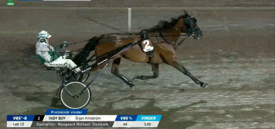 SVERIGE - To danske opdræt vandt på V85-dagen på Axevalla