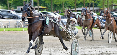 Tipsanalyser Bet25 & baneprogrammet - ALLE LØB - Aalborg mandag 2. marts